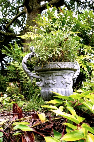 11 From Totnes to Dartmouth (23)